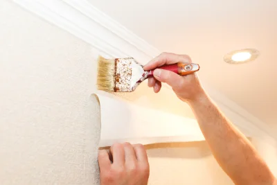 Pose de papier peint à Sannes — revêtements muraux et toiles de verre